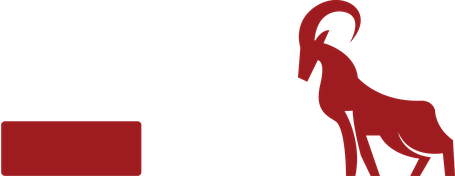 Sowthzide Games Pvt Ltd logo