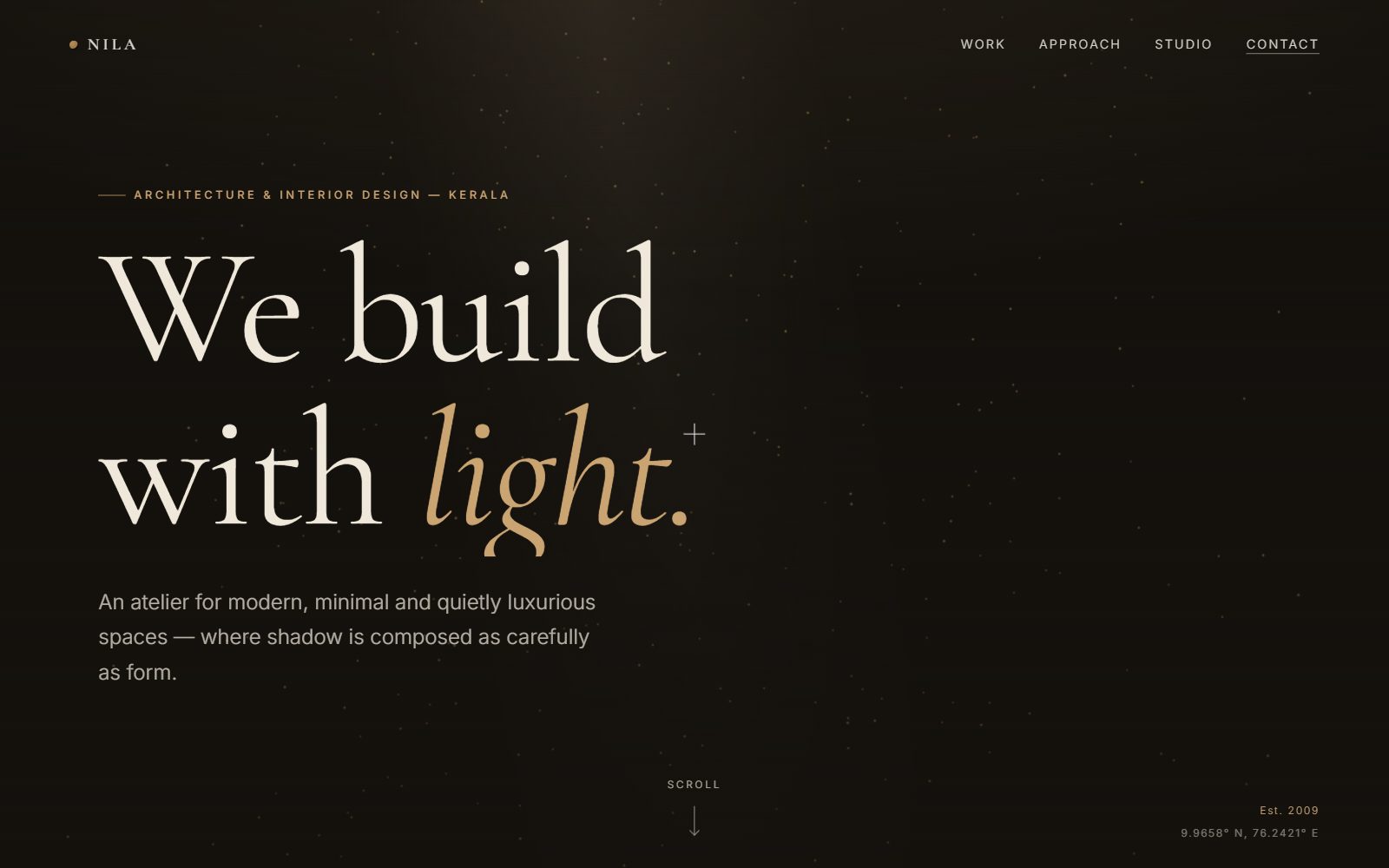 Screenshot of the NILA website homepage